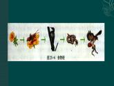 北师大版八下生物 23.3生态系统的结构和功能 课件