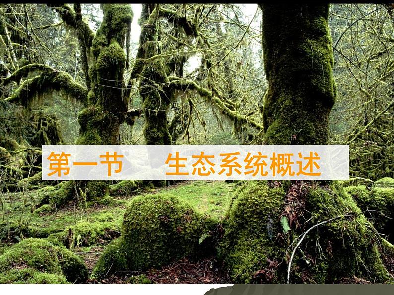 北师大版八下生物 23.4生态系统的稳定性 课件第2页