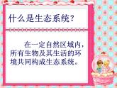 北师大版八下生物 23.4生态系统的稳定性 课件