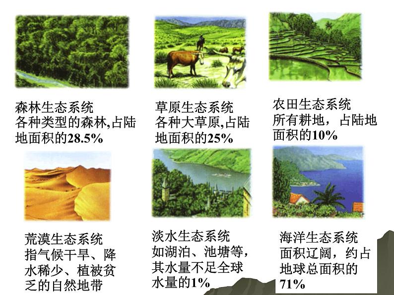 北师大版八下生物 23.4生态系统的稳定性 课件第5页