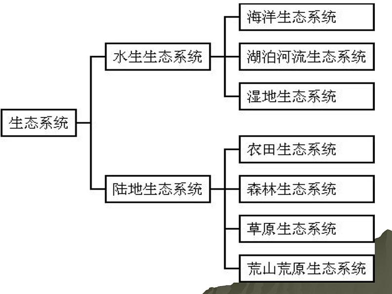 北师大版八下生物 23.4生态系统的稳定性 课件第6页