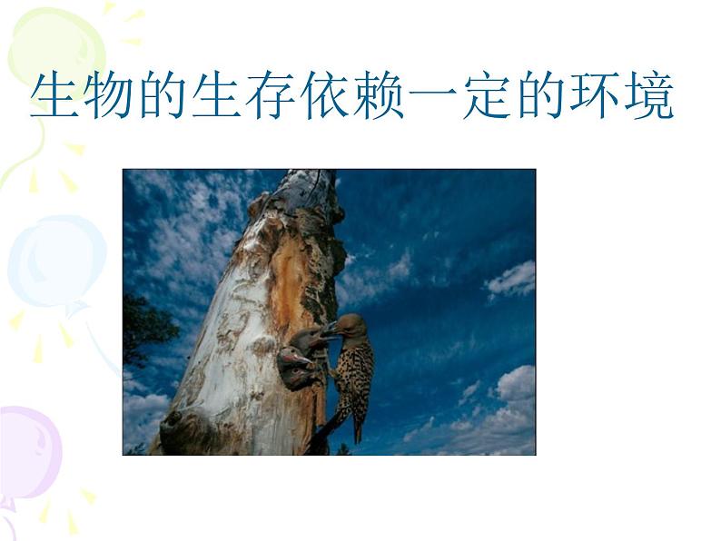 北师大版八下生物 23.1生物的生存依赖一定的环境 课件第1页