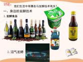 北师大版八下生物 25.1发酵技术 课件