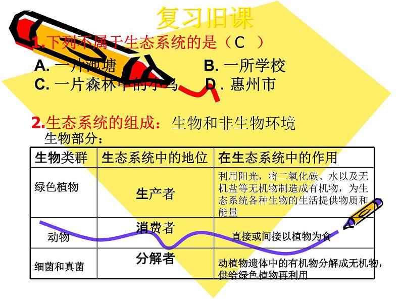 北师大版八下生物 23.3生态系统的结构和功能 课件第2页