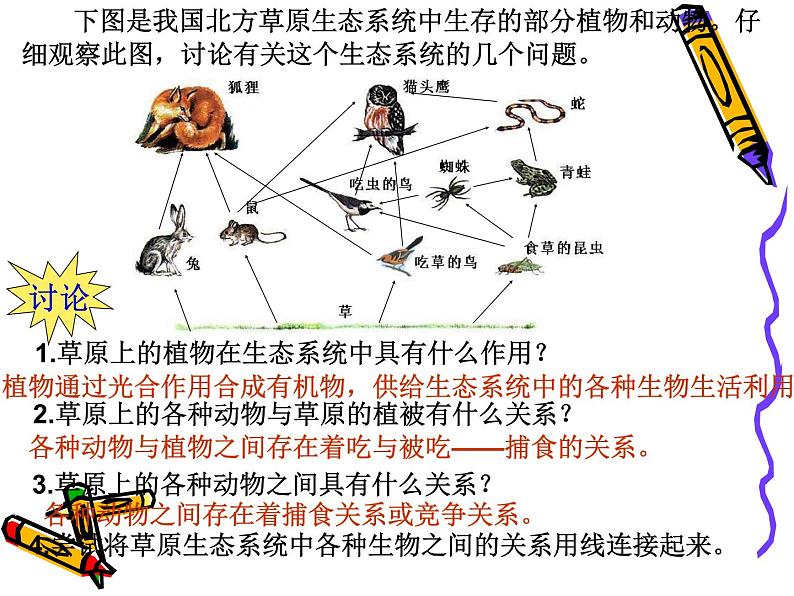 北师大版八下生物 23.3生态系统的结构和功能 课件第4页