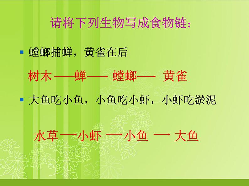 北师大版八下生物 23.3生态系统的结构和功能 课件第7页