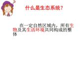 北师大版八下生物 23.2生态系统概述 课件