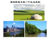 北师大版八下生物 23.2生态系统概述 课件
