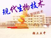 北师大版八下生物 25.2现代生物技术 课件