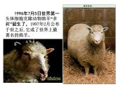 北师大版八下生物 25.2现代生物技术 课件