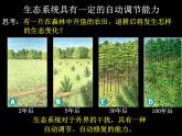 北师大版八下生物 23.4生态系统的稳定性 课件