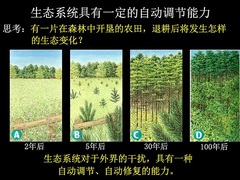 北师大版八下生物 23.4生态系统的稳定性 课件第5页