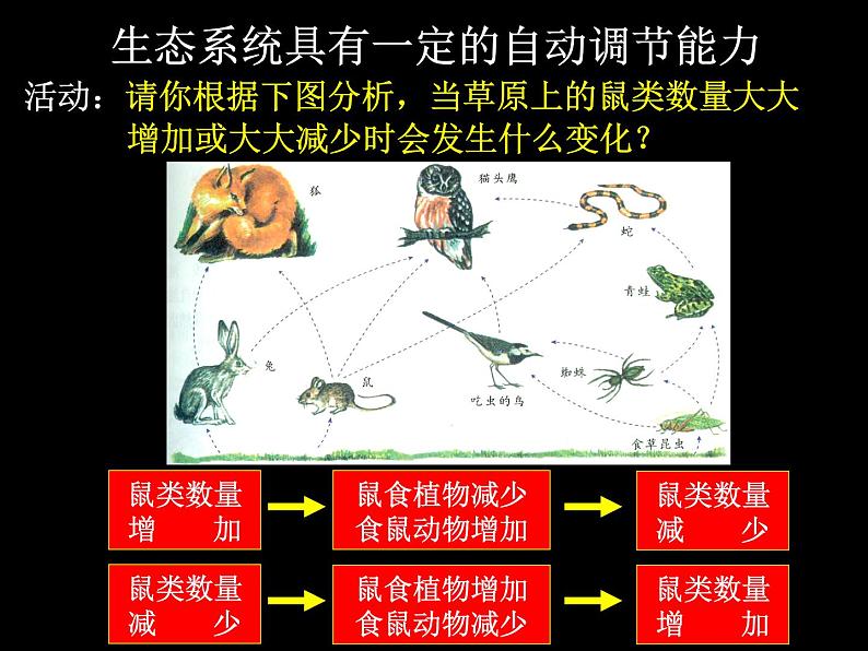 北师大版八下生物 23.4生态系统的稳定性 课件第8页