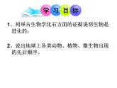 北师大版八下生物 21.2生物的进化 课件