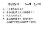 北师大版八下生物 21.2生物的进化 课件