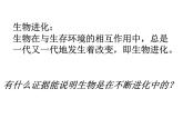 北师大版八下生物 21.2生物的进化 课件