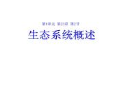 北师大版八下生物 23.2生态系统概述 课件