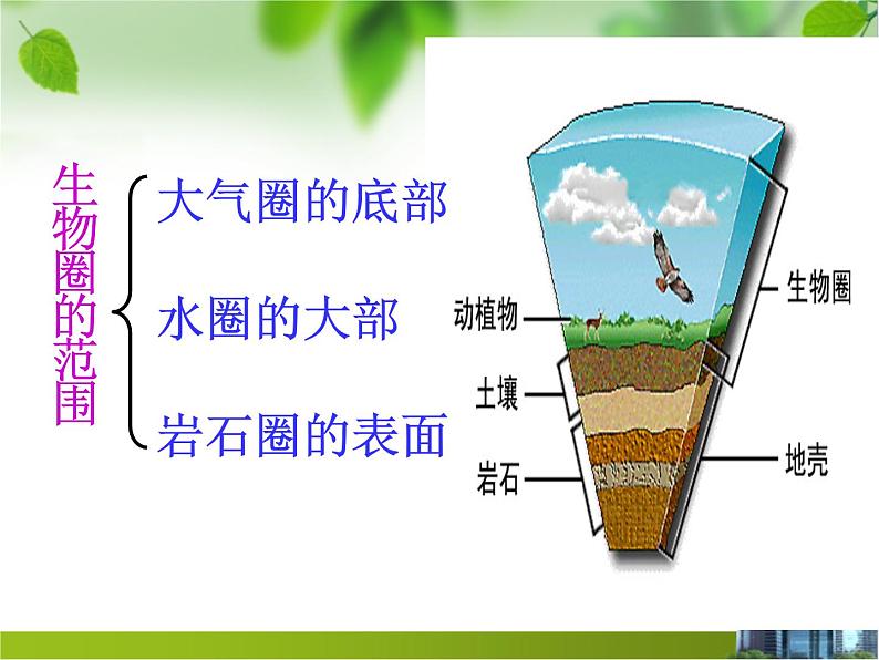 北师大版八下生物 23.2生态系统概述 课件06