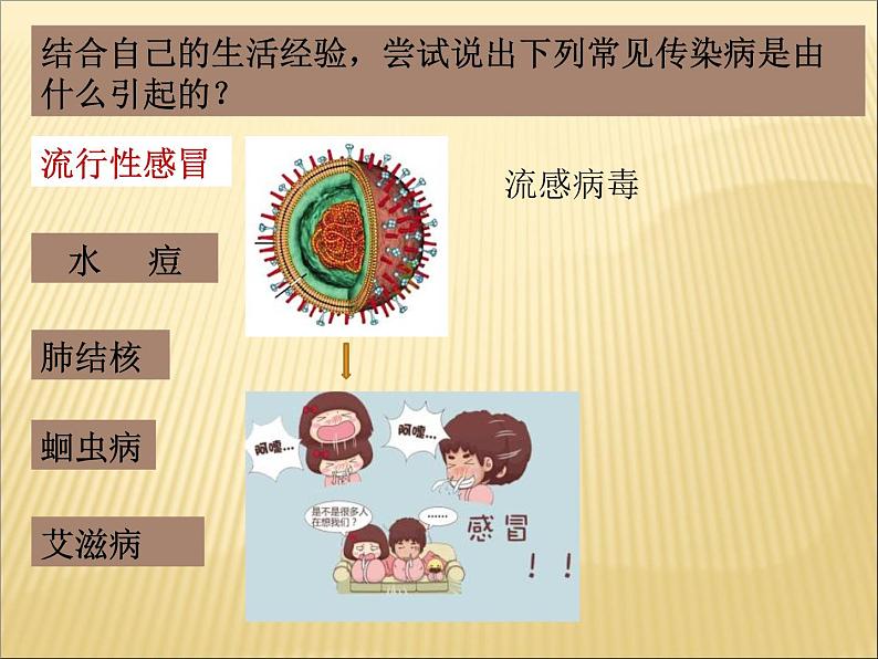 冀教版七下生物 6.2疾病与预防 课件07