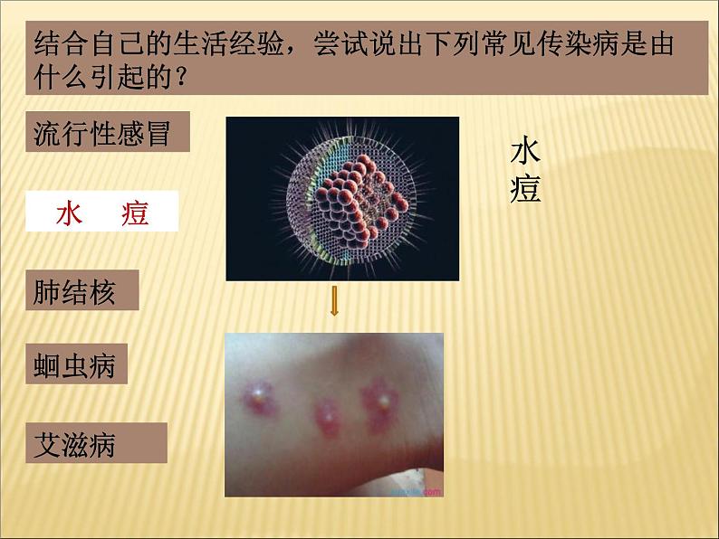 冀教版七下生物 6.2疾病与预防 课件08