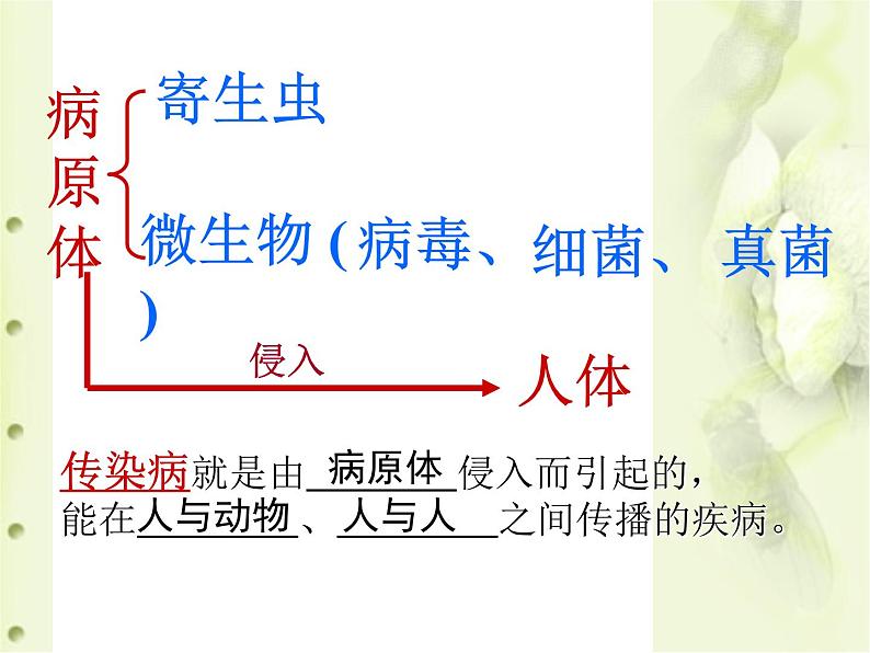 冀教版七下生物 6.2疾病与预防 课件第3页