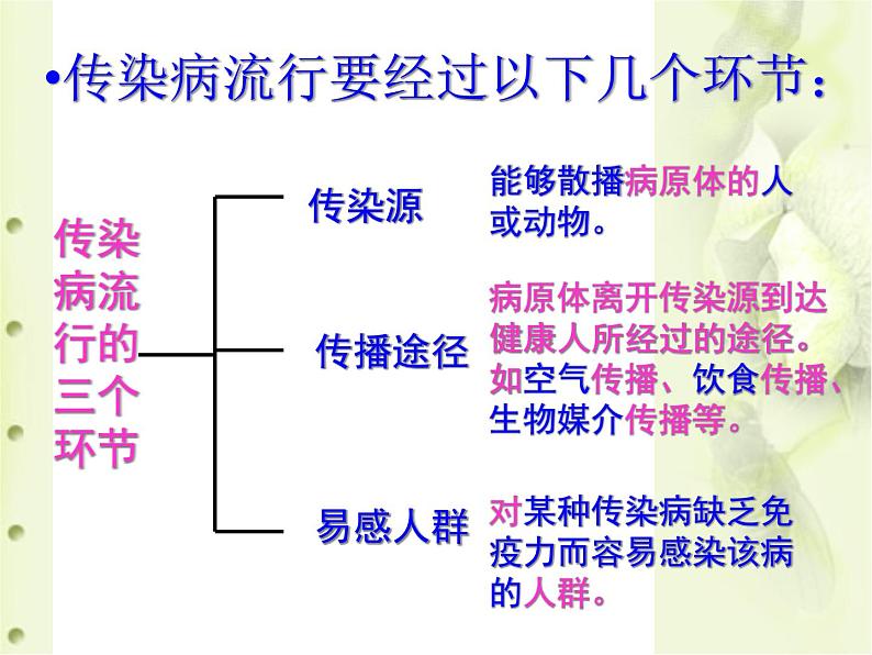 冀教版七下生物 6.2疾病与预防 课件第6页