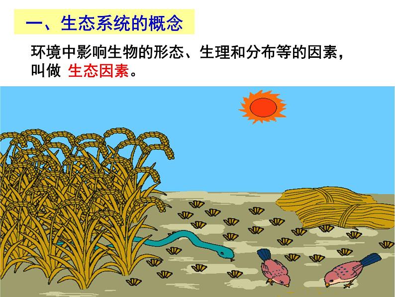 冀教版八下生物 7.2.1生态系统的组成和类型 课件第2页