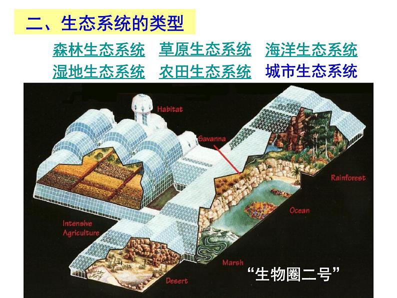 冀教版八下生物 7.2.1生态系统的组成和类型 课件第4页