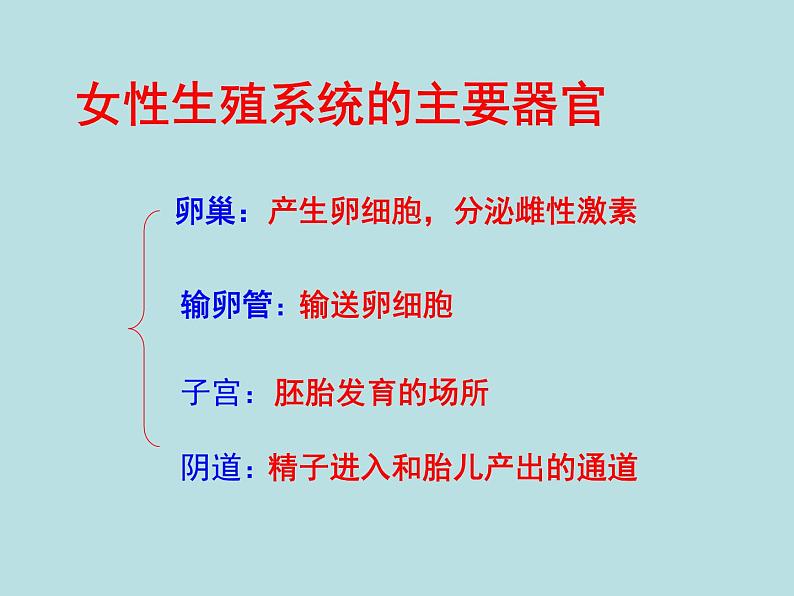 人教版七下生物 1.2人的生殖 课件第6页