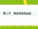 人教版七下生物 6.2神经系统的组成 课件