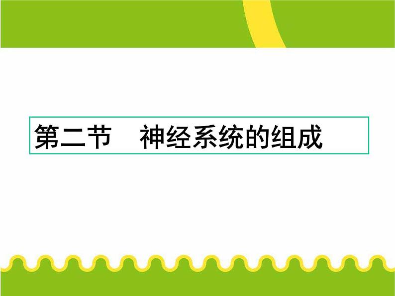 人教版七下生物 6.2神经系统的组成 课件第1页