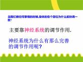 人教版七下生物 6.2神经系统的组成 课件