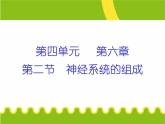 人教版七下生物 6.2神经系统的组成 课件