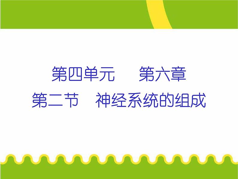 人教版七下生物 6.2神经系统的组成 课件第3页