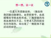 人教版七下生物 6.2神经系统的组成 课件