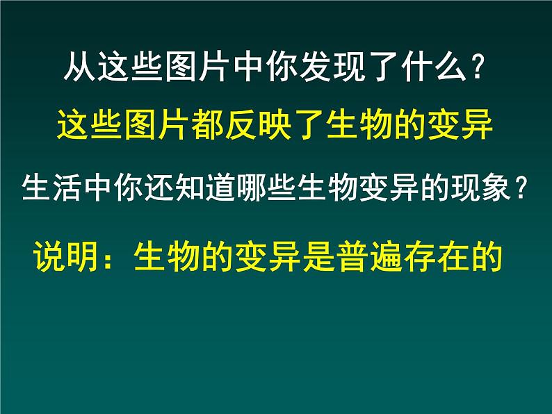 人教版八下生物 7.2.5生物的变异 课件第5页