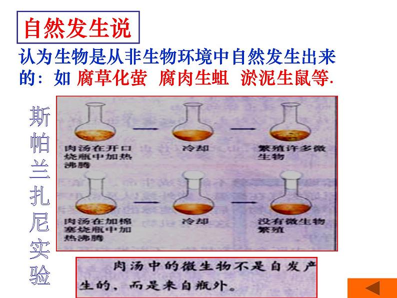 人教版八下生物 7.3.1地球上生命的起源 课件08