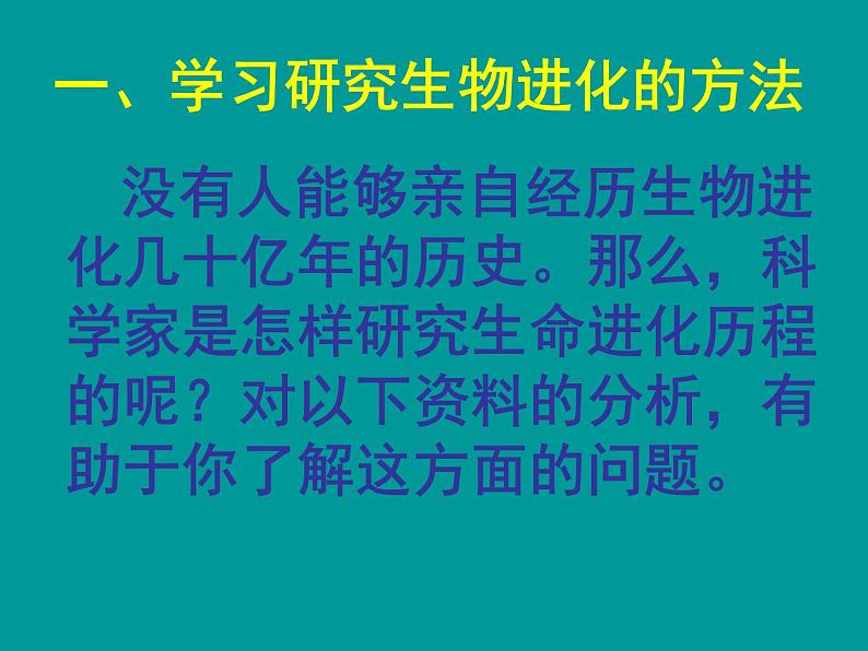 人教版八下生物 7.3.2生物进化的历程 课件03