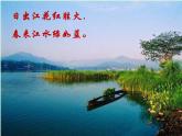 苏科版七下生物 10.2 水中的藻类植物 课件