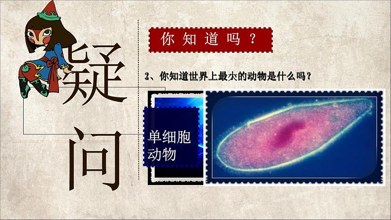 苏科版七下生物 9.3 单细胞的生物体 课件第1页