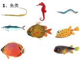 苏科版七下生物 10.1 水中的动物 课件
