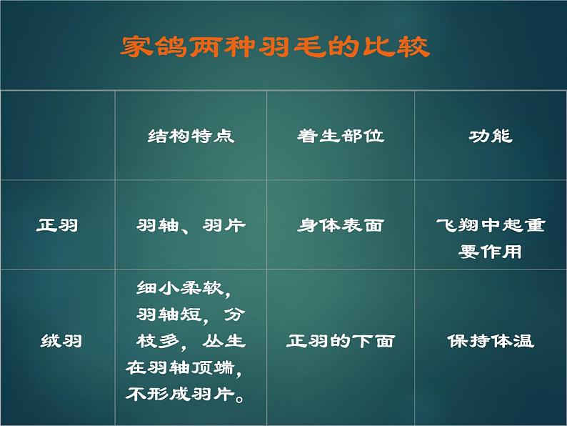 苏科版七下生物 12.1 鸟类 课件06