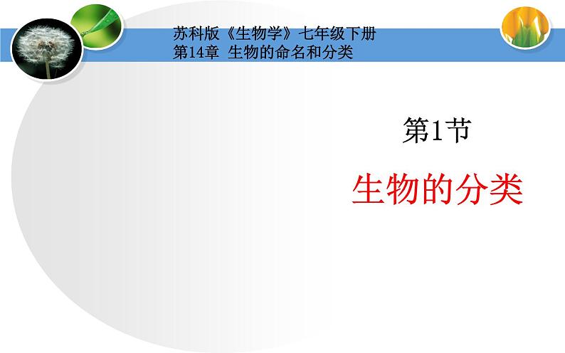 苏科版七下生物 14.1 生物的命名和分类 课件第2页