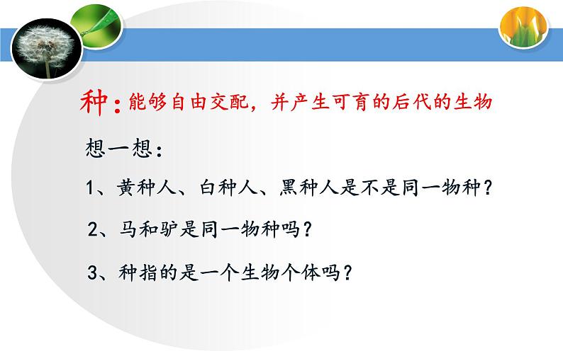 苏科版七下生物 14.1 生物的命名和分类 课件第7页