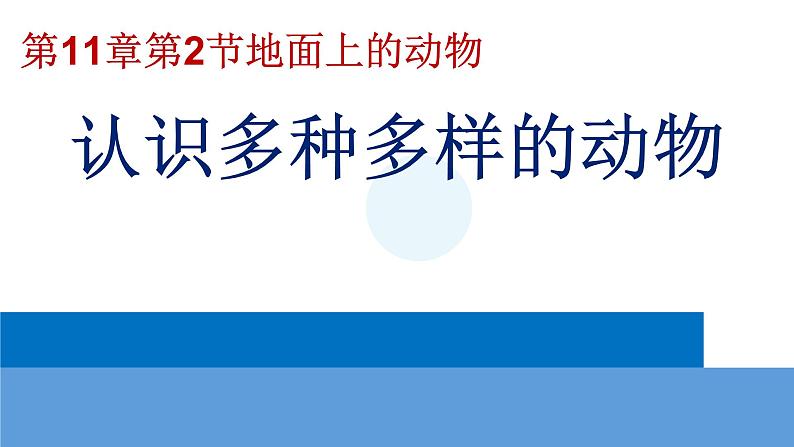 苏科版七下生物 11.2 地面上的动物 课件02