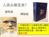 苏科版八下生物 23.4 人类的起源和进化 课件