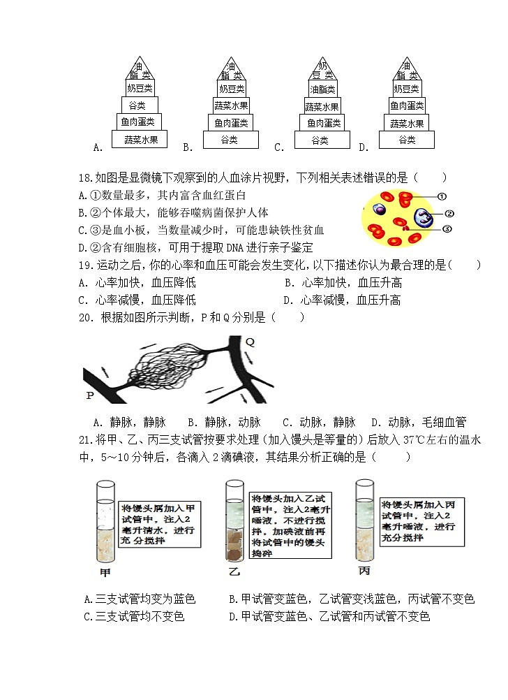 安徽省合肥市包河区2021-2022学年七年级下学期期中考试生物试题（含答案）03