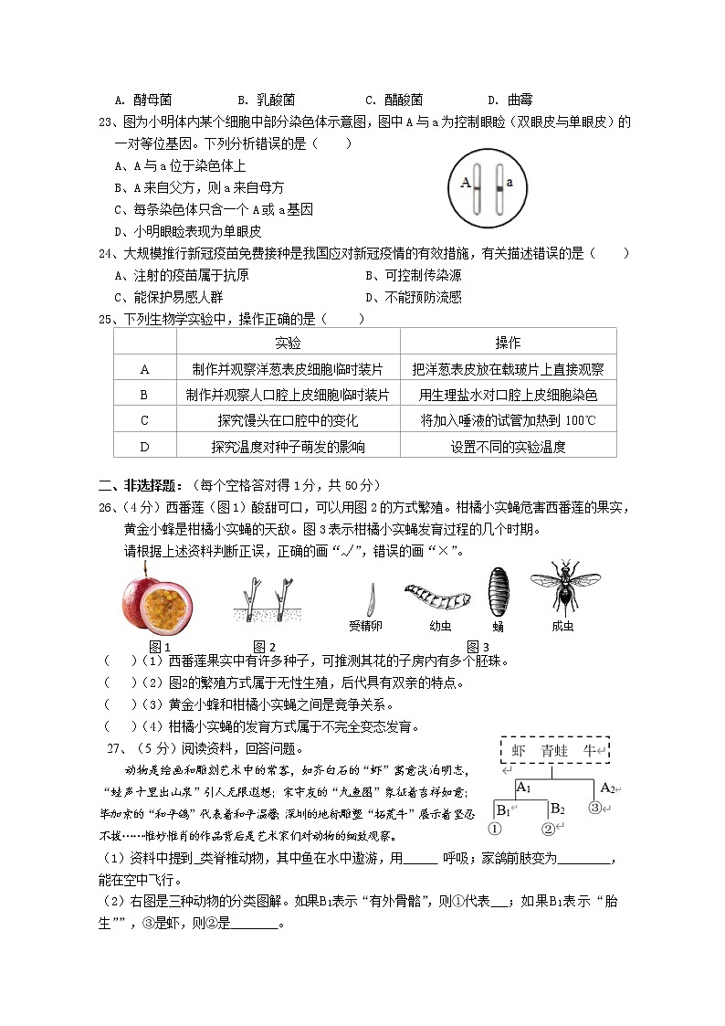 福建省莆田第七中学2021-2022学年八年级下学期期中考试生物试题（含答案）03