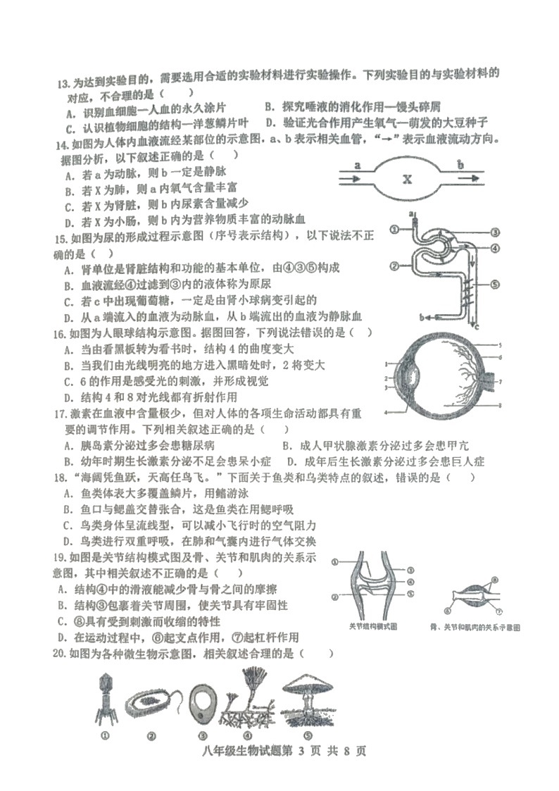 2022年山东省临沂市莒南县中考一模生物试题03