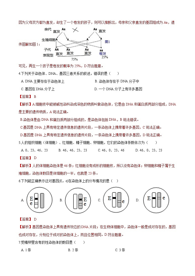 人教版八年级生物下册7.2.2基因在亲子代间的传递练习题第2页